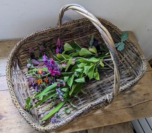 Wicker Trug'Flower Basket'1900-1910 English Original Condition Rare Prop Display - Picture 11 of 24