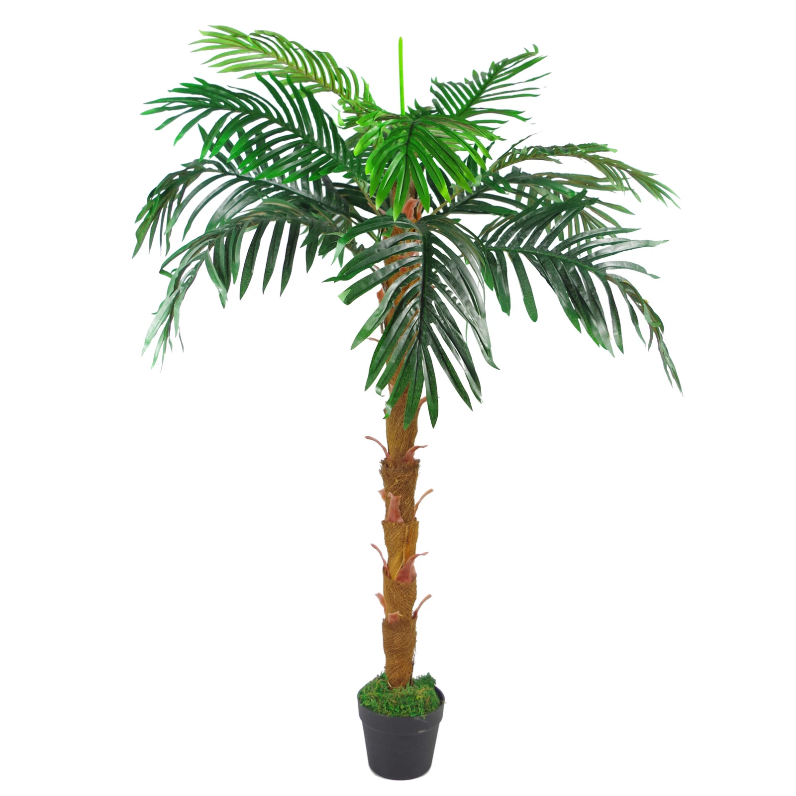130cm Princess Palm - 7258