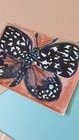 Black Butterfly #3 Original ACEO Mini Art OOAK *Damaged* JessaCreationShop — photo 4