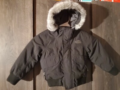 the north face dryvent 550