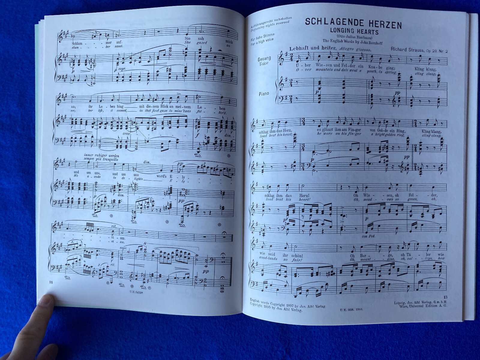 Bild 8 von 12