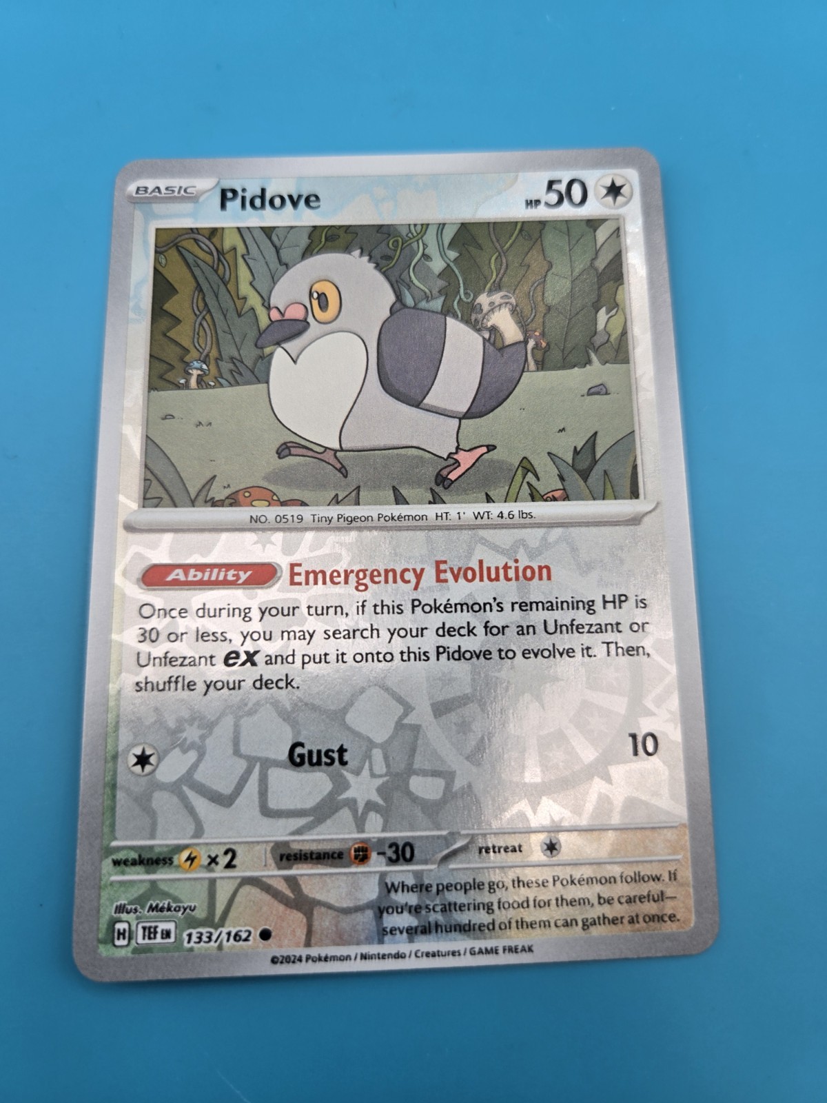 Pidove Common Reverse Holo Colorless Temporal Forces Pokemon Card 133/162 NM