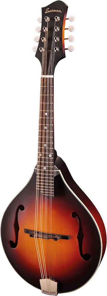 A Style Mandolin, Electro, Eastman MD305E-SB, Mandolins at Hobgoblin Music