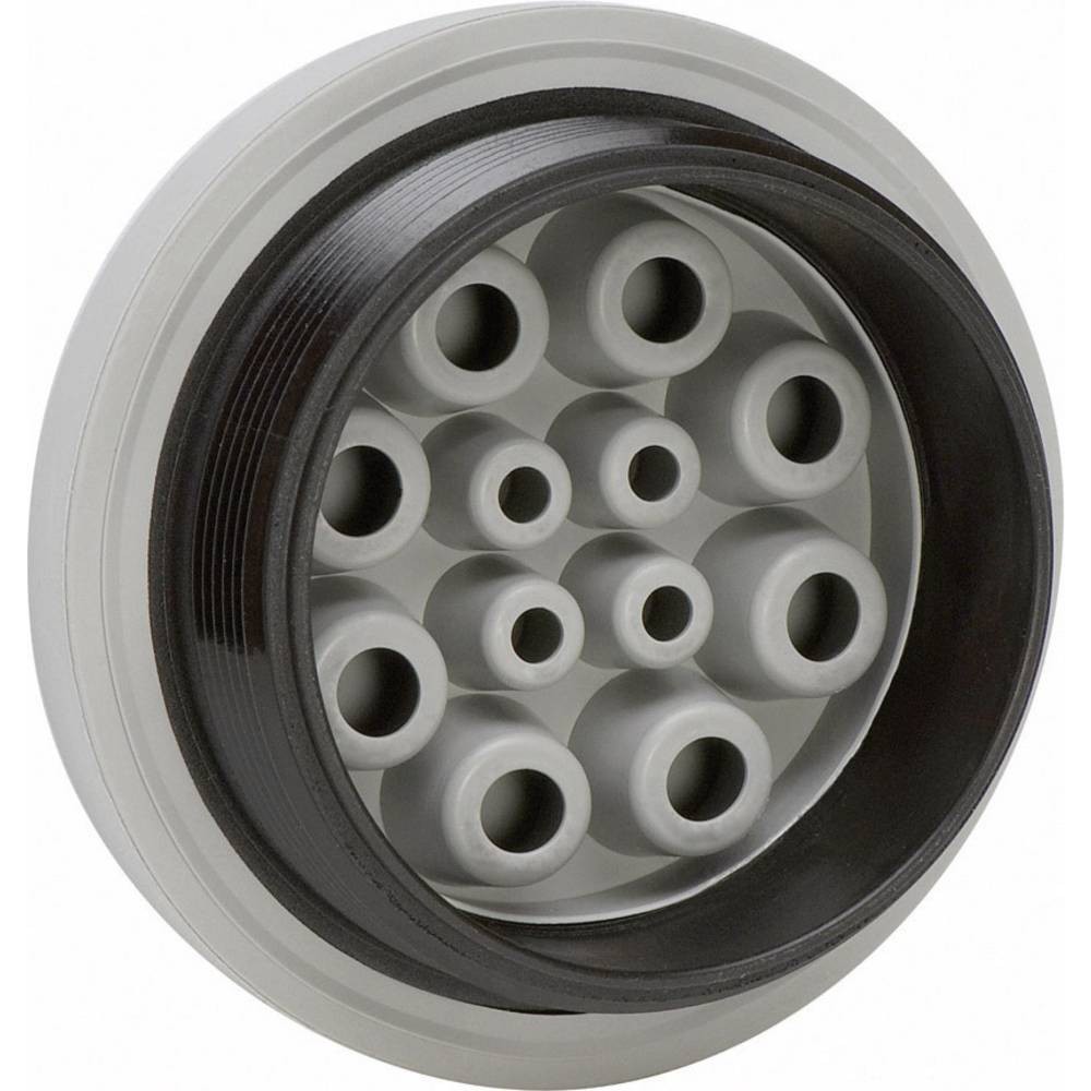 Icotek KEL-DPZ 32/7 presse-étoupe multiple élastomère polyamide polyamide - 2