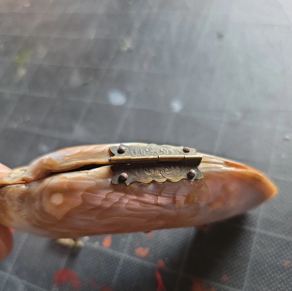 Antiguo mini monedero con caparazón de madreperla prístino interior decoración tocador Foto 4 de 4