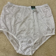 Vintage Vanity Fair Brief  Panty 3380