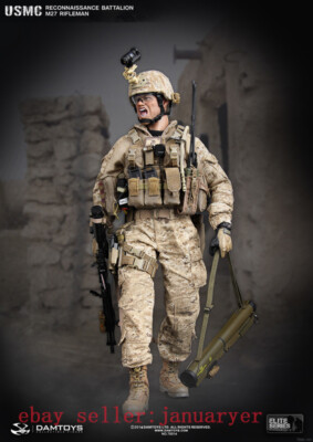 Damtoys 1/6 78014 Usmc Reconnaissance Battalion M27 Rifl Action