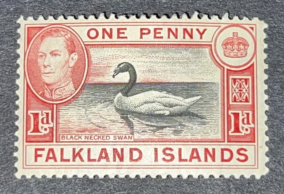 Sellos de viaje: estampillas de las Islas Malvinas Sg 147 un centavo cisne cuello negro M OG H Foto 2 de 4