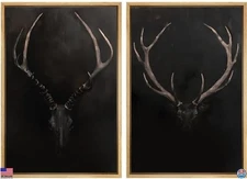 SIGNWIN Rustic Antler Skull Canvas Wall Art - Vintage Deer & Elk Decor 16"x24"x2