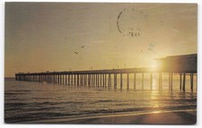 Vintage Virginia Beach Pier Sunset Postcard 1975 Roberto Norfolk VA Fishing
