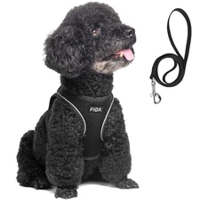 Comfy Dog Harness with Leash, Soft Puppy Vest Escape Proof, Breathable Lightw...