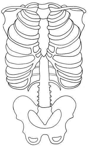 PACK TEMÁTICO CUERPO HUMANO - Recurso de enseñanza de ciencias etapa clave 2 - Imagen 6 de 7