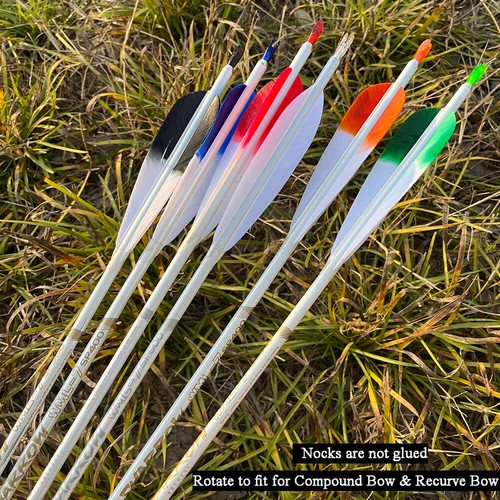 32" Carbonpfeile Jagdpfeile .003" Naturfedern SP400-800 Bogenschießen Bogen Jagd - Picture 5 of 24