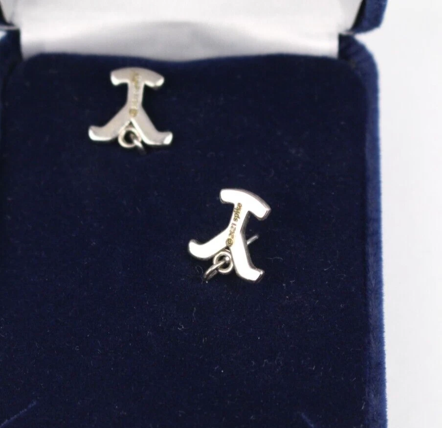 Brincos de cristal Montana Silversmiths Yellowstone Y à noite YELER5370 - Imagem 4 de 4