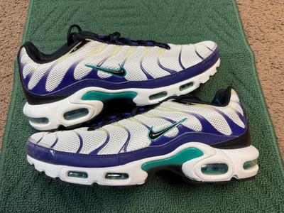 Nike Air Max Plus Grape Men's Size 11 Sneakers DM0032-100
