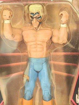 TNA Wrestling Legends of The Ring Series 1 Action Figure Sting NWA