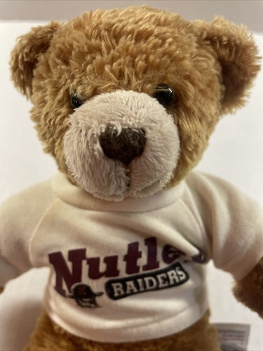 Nutley Raiders Small Plush Land Bear - Picture 2 of 8