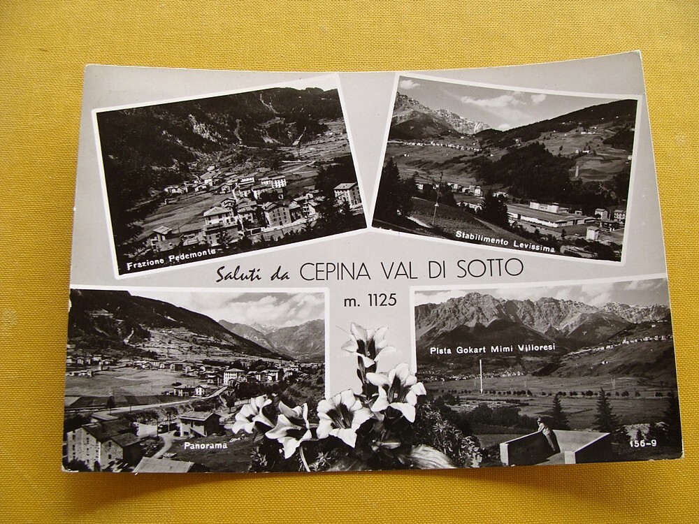 (FG.RR115) Saluti da CEPINA di Valdisotto - VEDUTINE, PEDEMONTE, GO KART (1964)