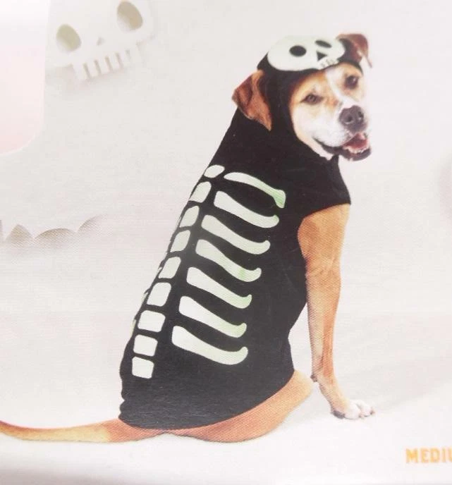 Holy spirit outlet hoodie dog black