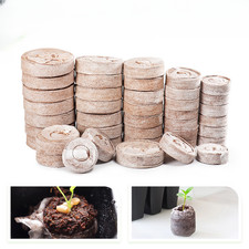 100 blocs de d��marrage en coco naturelle 4 cm pour d��butants et jardiniers