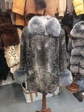 Persiano Grigio Con Volpe Grigia