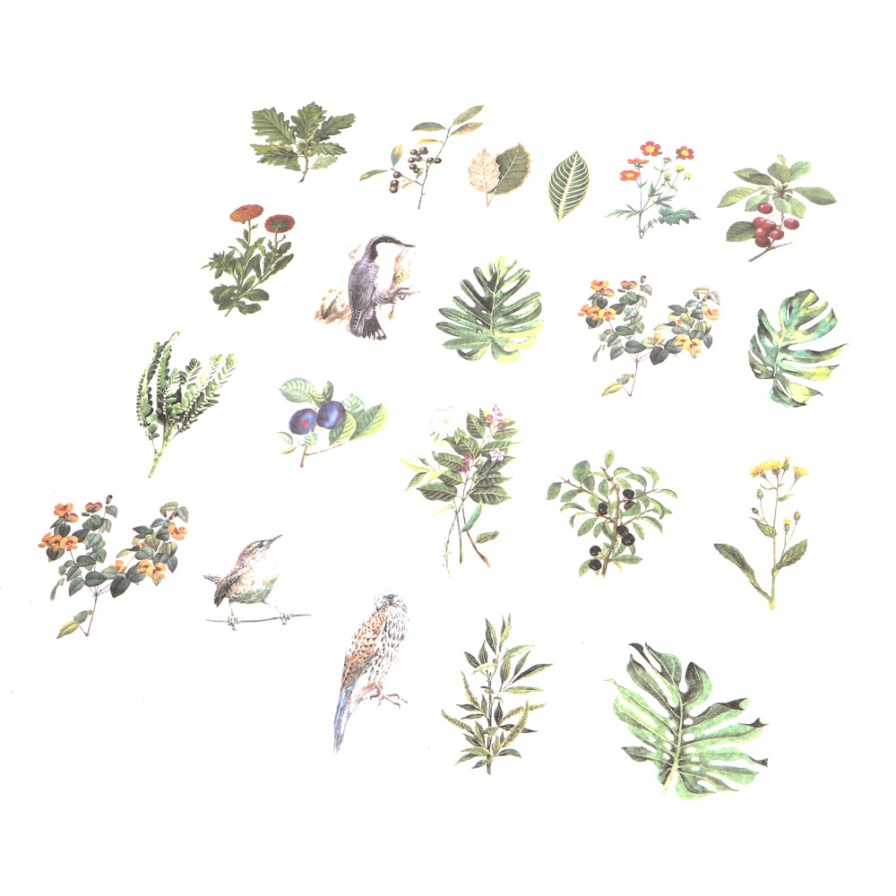 2 Sets Photo Corner Sticker Leaves Planner Stickers Decorative Laptop Stickers eBay