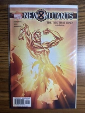 NEW MUTANTS 12 NM CHRISTINA WEIR STORY MARVEL COMICS 2004