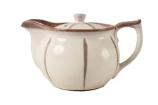 Mino ware Japanese Pottery Teapot Kyusu Arradin Pot Matte White Tokusa