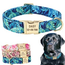 Custom Dog Collar Safety Personalized Nylon Collars for Dogs Boy/Girl Puppies