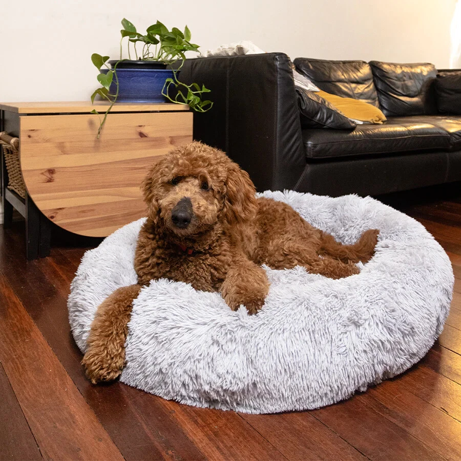 Puppy Love, The Original Comfy® Dog Bed, 40 Round (NEW)