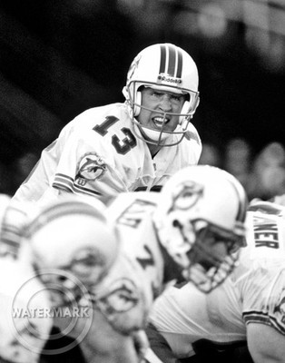 Dan Marino 11x14 Photo Picture Miami Dolphins Football v7