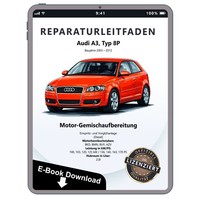Audi A3 2003-2012 Diesel 2,0L Einspritz VorglüHanlage Reparaturhandbuch Download