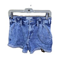 Abercrombie Kids Kid's Blue Shorts
