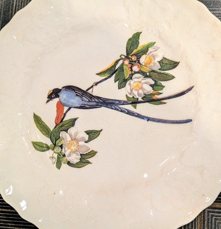 Alfred Meakin Audubon Fork Tail Flycatcher Plate #168 Birds of America  England