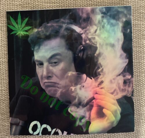 Adesivo Elon Musk fumo erba auto computer portatile camion Tesla SpaceX Joe Rogan 420 JRE - Foto 2 di 2