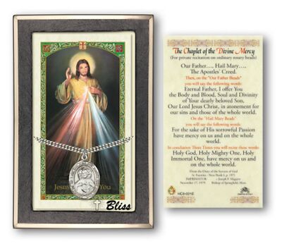 Sterling Silver Scapular Catholic Medal Pendant Necklace 24'' Chain PrayerCard