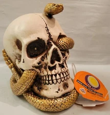 Happy Halloween Light Up 6” Skull With Gold Snake Tabletop Decor Gothic