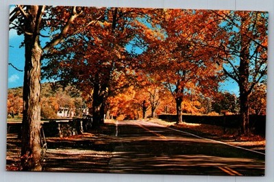Postcard 1970s Ringwood, NJ Autumn Road View