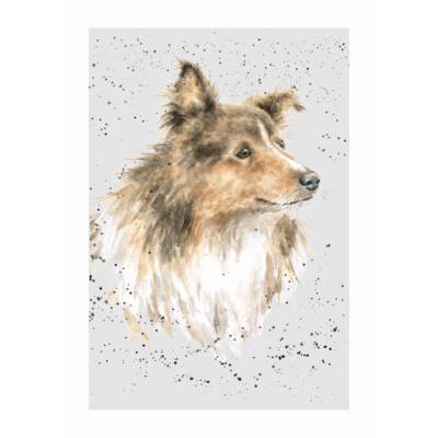 SHETLAND SHEEPDOG - WD-C-ADR020 Wrendale Designs Greeting Card Scout
