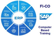 JOB-LOT - SAP R/3 3.x Finance and Controlling-FI-CO Computer based Training-CBT