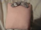 Picture 16 of 24