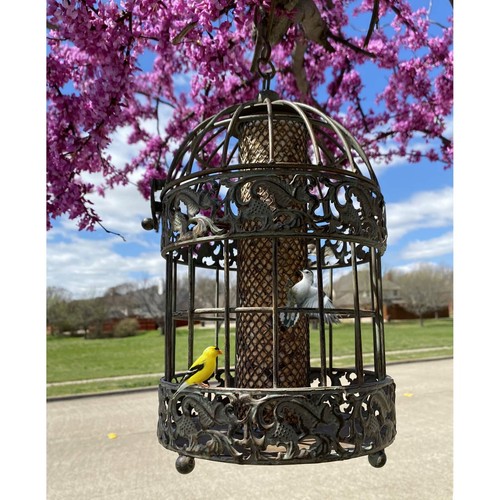 13 in. Tall Rustic Metal Squirrel Proof Caged Bird Feeder - Picture 2 of 8