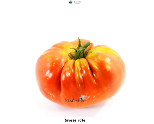Tomate Grosse rote - 25 semillas - Seeds - Graines - Semi - seeds - Photo 1/1