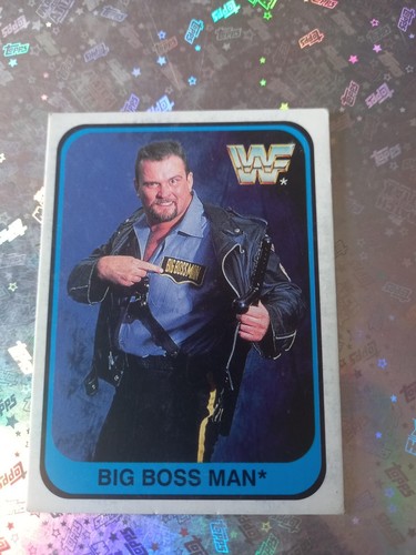 MERLIN WWF CARDS 1991 WRESTLING ITALIAN VERSION A SCELTA: UNDERTAKER MACHO MAN . - Foto 53 di 88