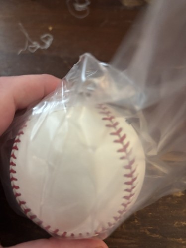 Ivan Rodriguez Signed Baseball JSA AUTHENTIC - Picture 2 of 8