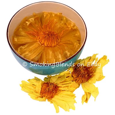Yellow Lotus Flowers | Tea | Nymphaea Mexicana