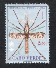 Capo Verde Cabo 1962 insetti animali zanzare malaria marsh fever mosquitoes