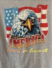Patriotic Eagle Flag Large “America Love It Or Leave It” Tshirt Mens Gray Stripe