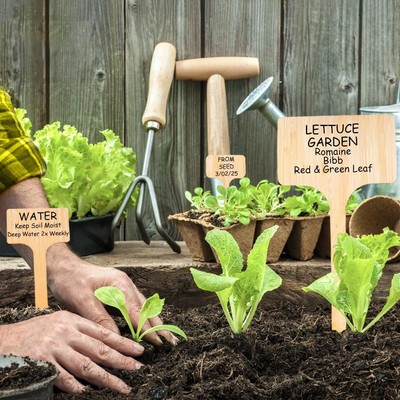 Extra Large 3 Sizes Garden Markers Plant Labels
