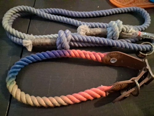 XL Rope Collar And Leash Multicolor. Pls Measure No Returns
